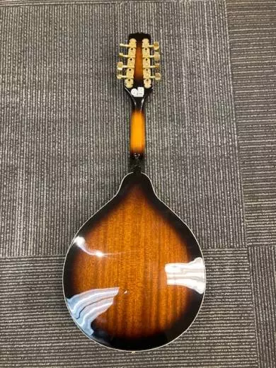 Store Special Product - Epiphone - MM-30ASGH